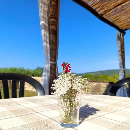 Bio La Muccaia Farm stay Massa Marittima
