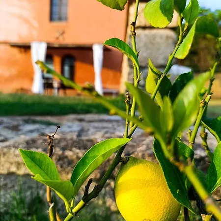 Farm stay Bio La Muccaia