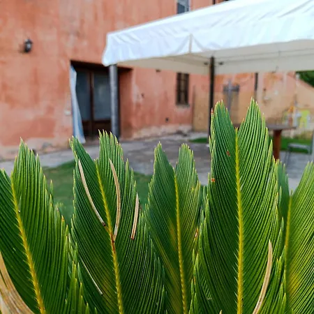 Bio La Muccaia Farm stay